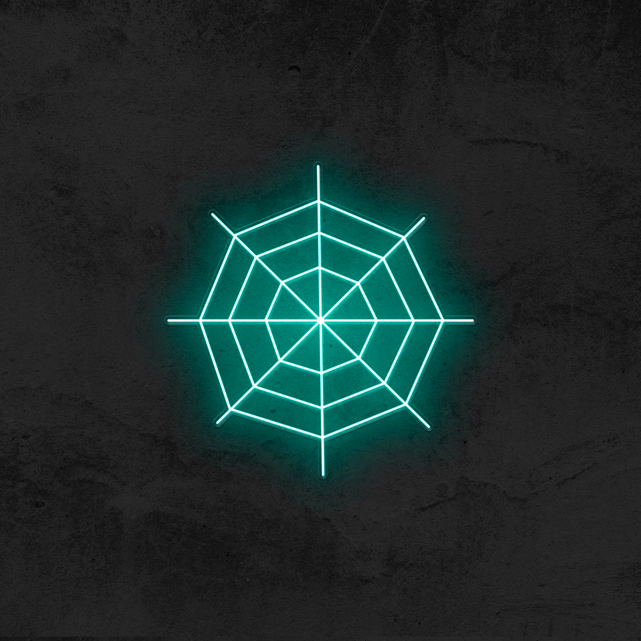 Spider Web Neon Sign