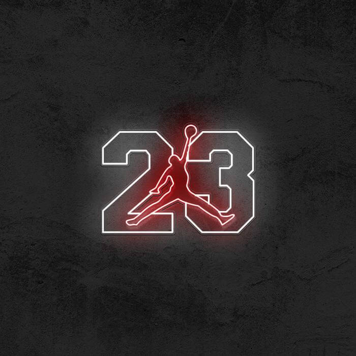 Air Jordan 23